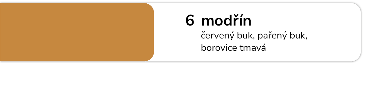 Tmel na dřevo na opravu Holzpaste odstín 6 Modřín Červený buk Pařený buk Borovice tmavá