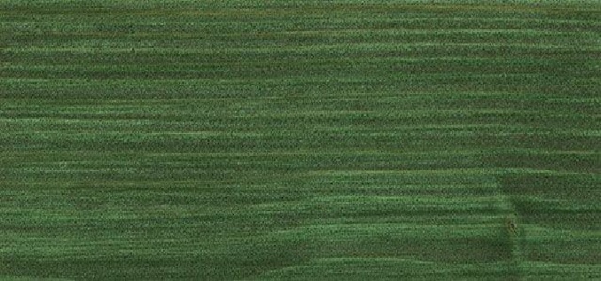 729 Ool jedlová zeleň