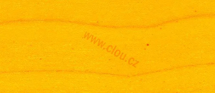 Práškové mořidlo do vody CLOU, 1 sáček - 5g, 166 ořech světlý