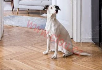 MONOCARE 2K-olej, 41 bílá Cotton White 1,0 l